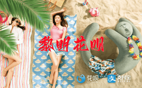 各有所爱花呗